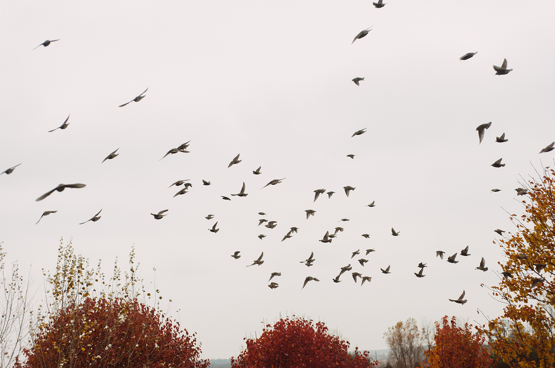 Markt- und Investment-Update