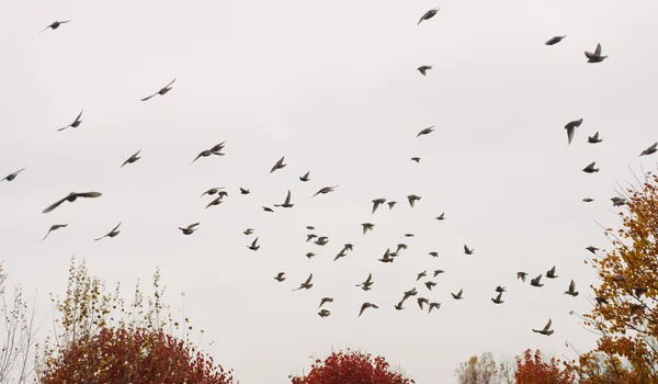 Markt- und Investment-Update