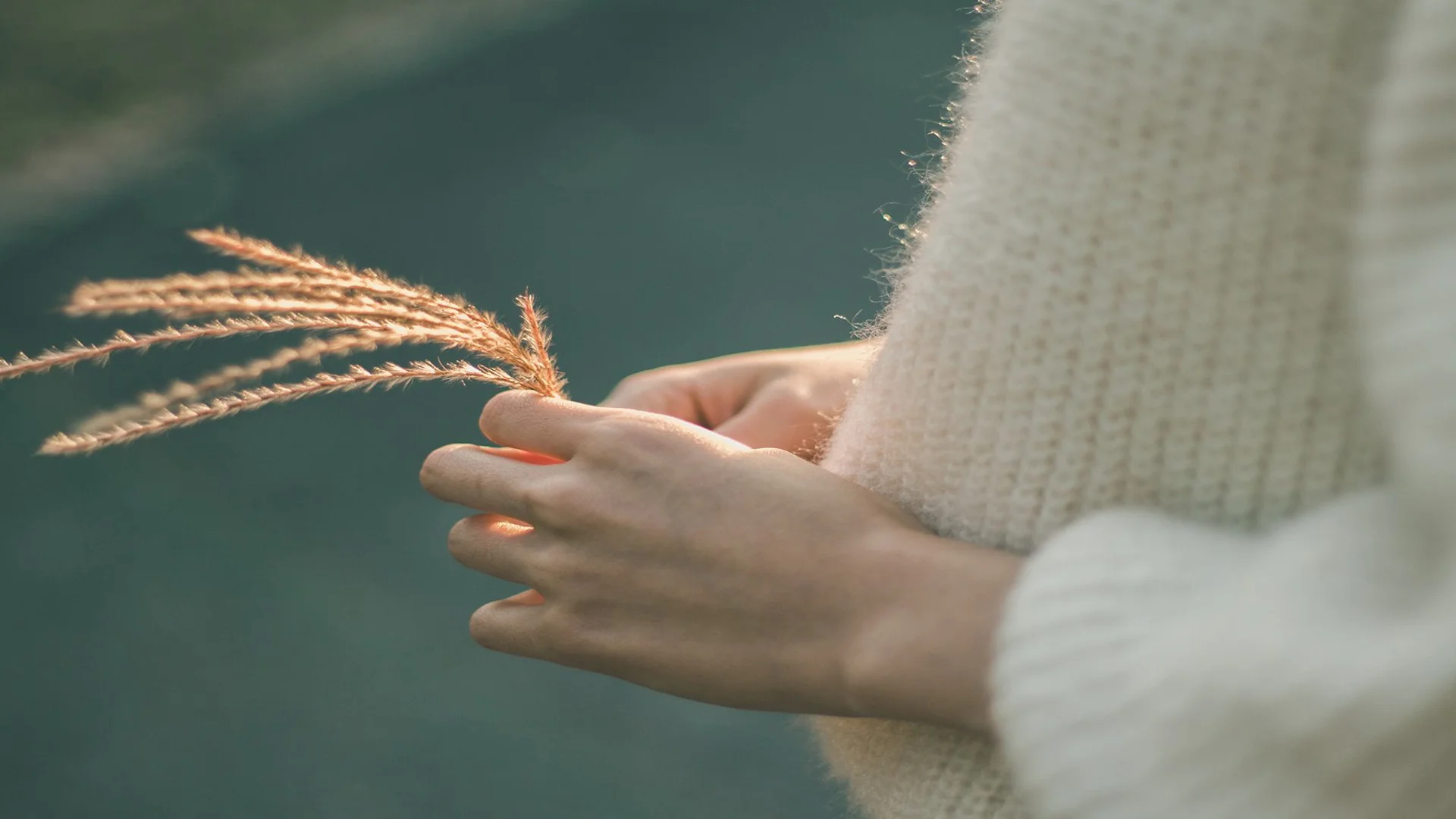 Wir helfen, Gutes zu säen