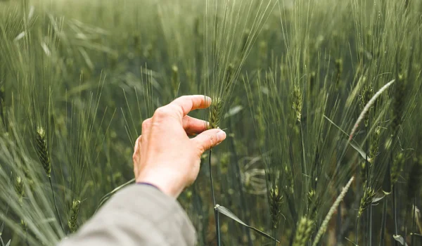 Markt- und Investment-Update