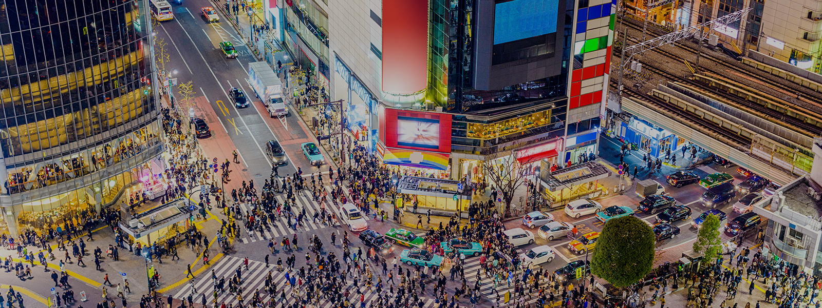 Diversifizierungsmöglichkeiten inmitten der Unsicherheit