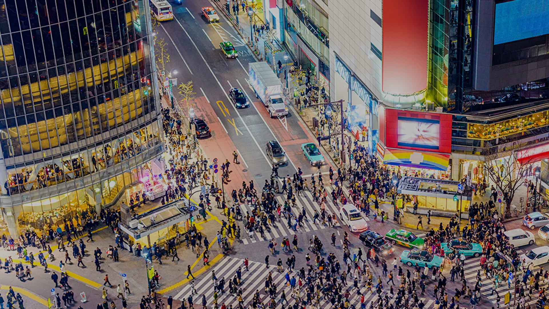 Diversifizierungsmöglichkeiten inmitten der Unsicherheit