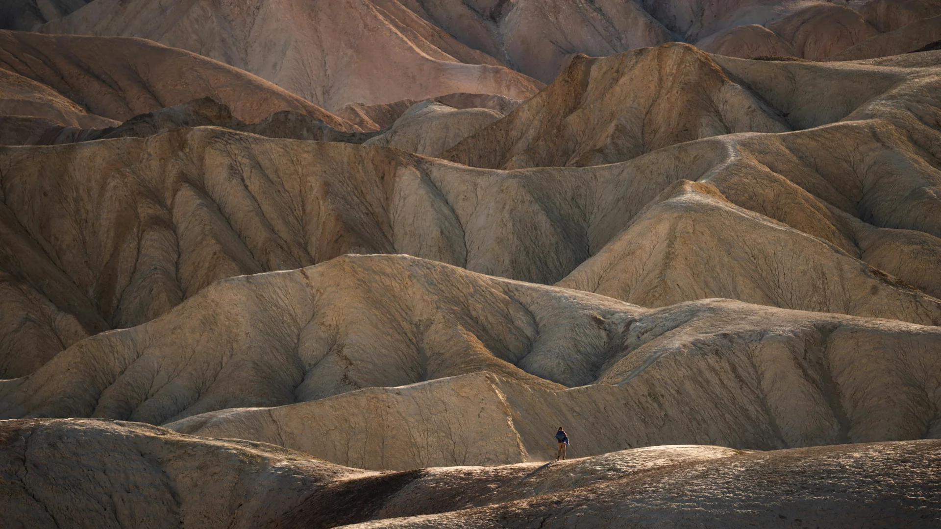 Jason Hudson Vl01e7axhaq Unsplash