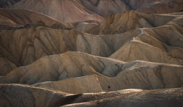 Markt- und Investment-Update