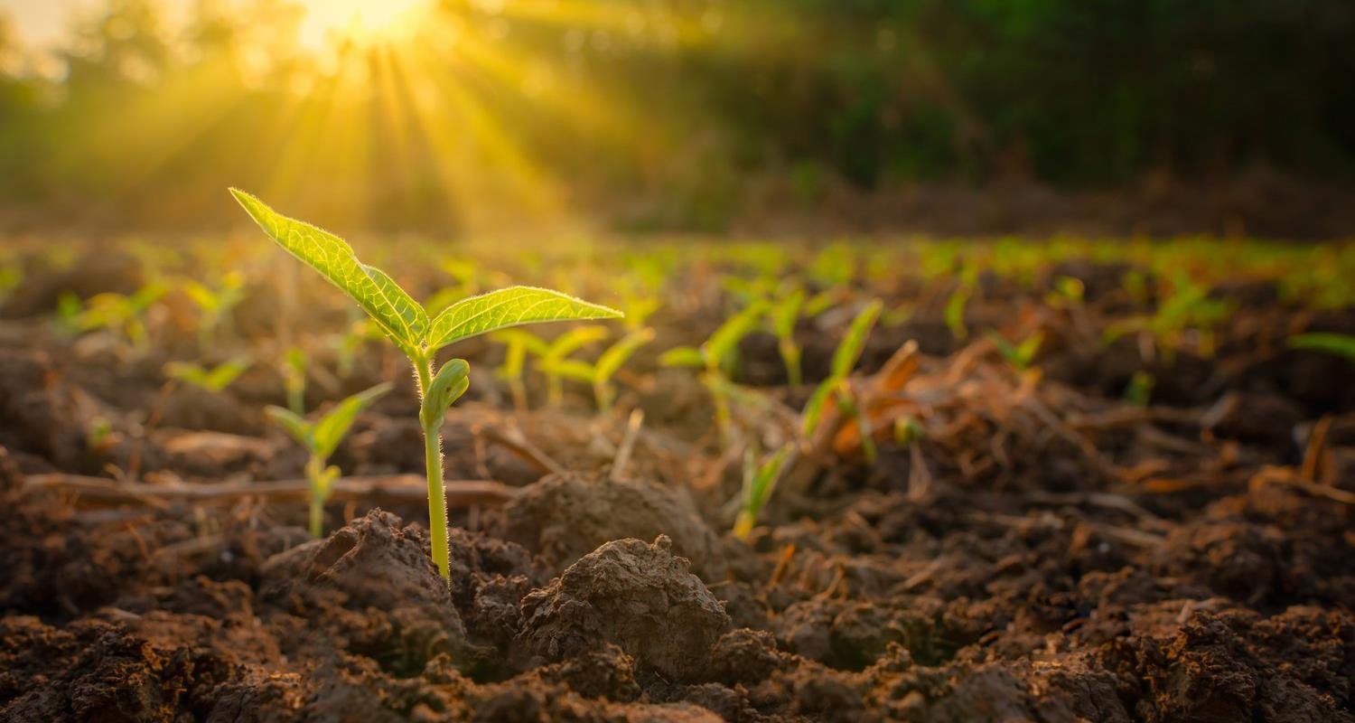 Europäische Lichtblicke