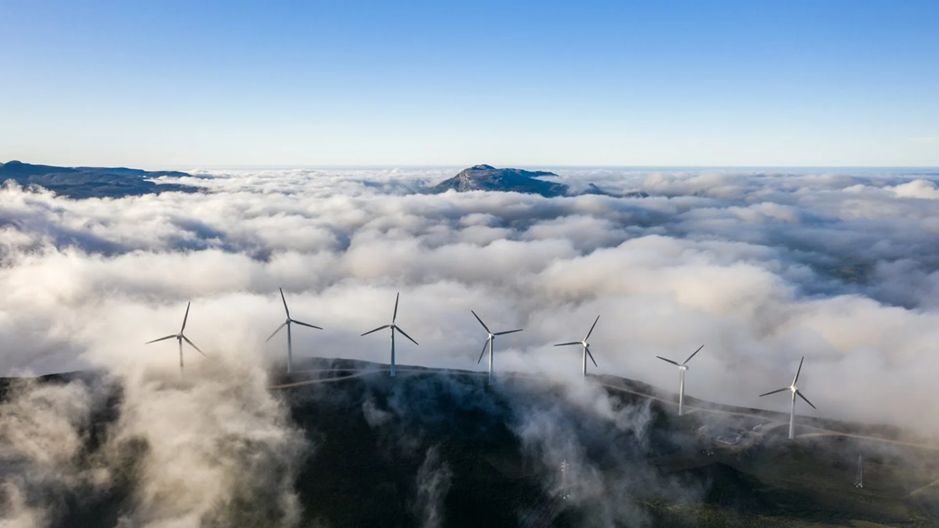 Unser Einsatz für mehr Nachhaltigkeit