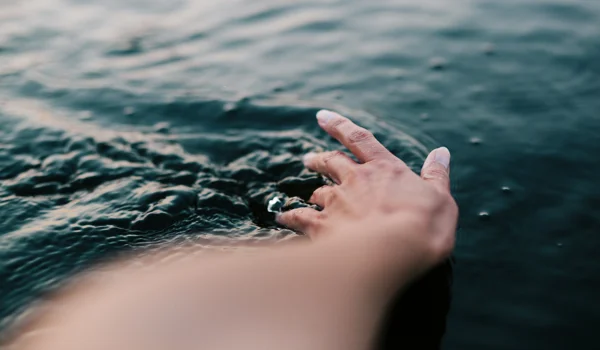 Markt- und Investment-Update