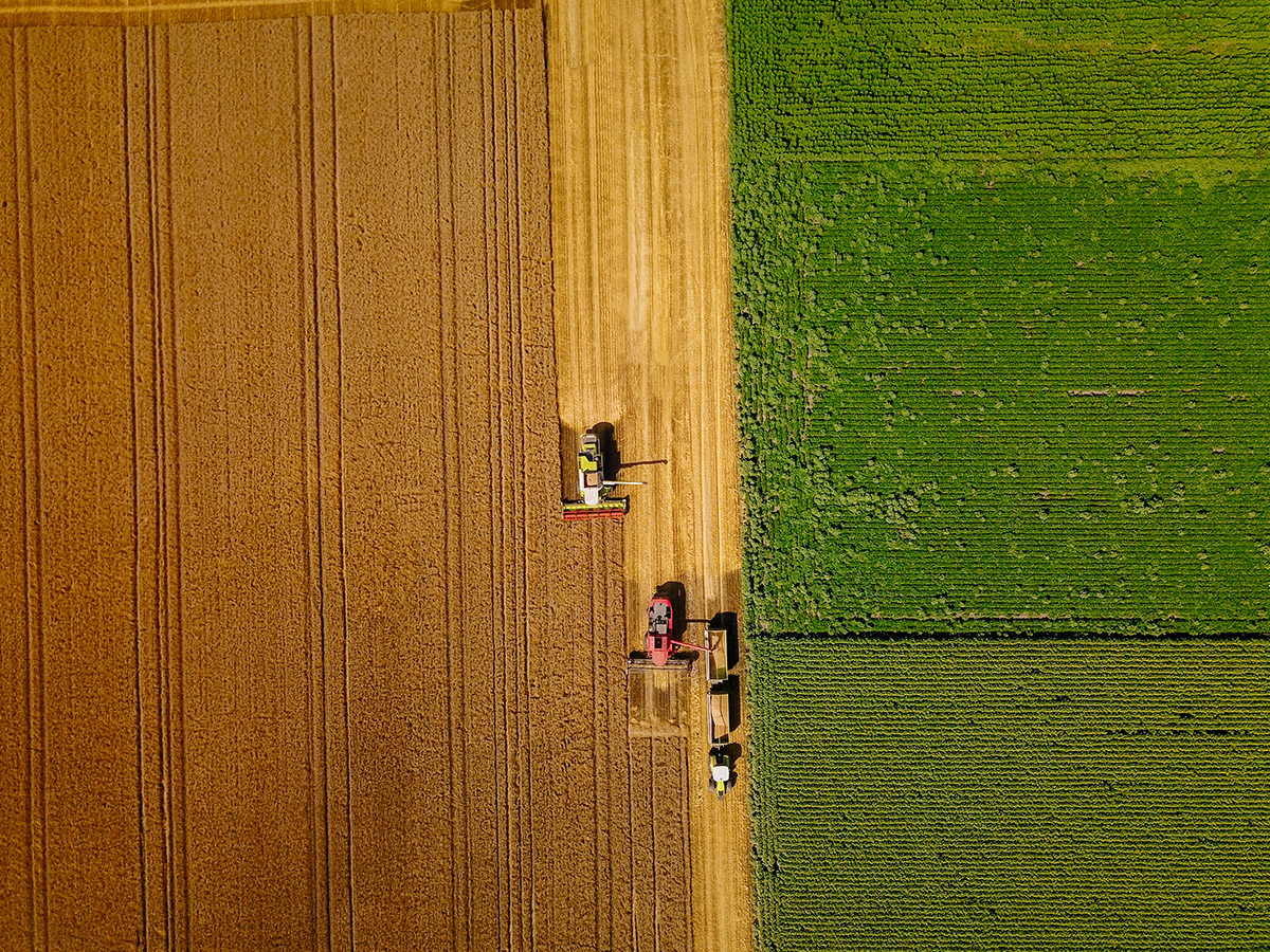 Counterpoint September 2025: Die Ernte einfahren