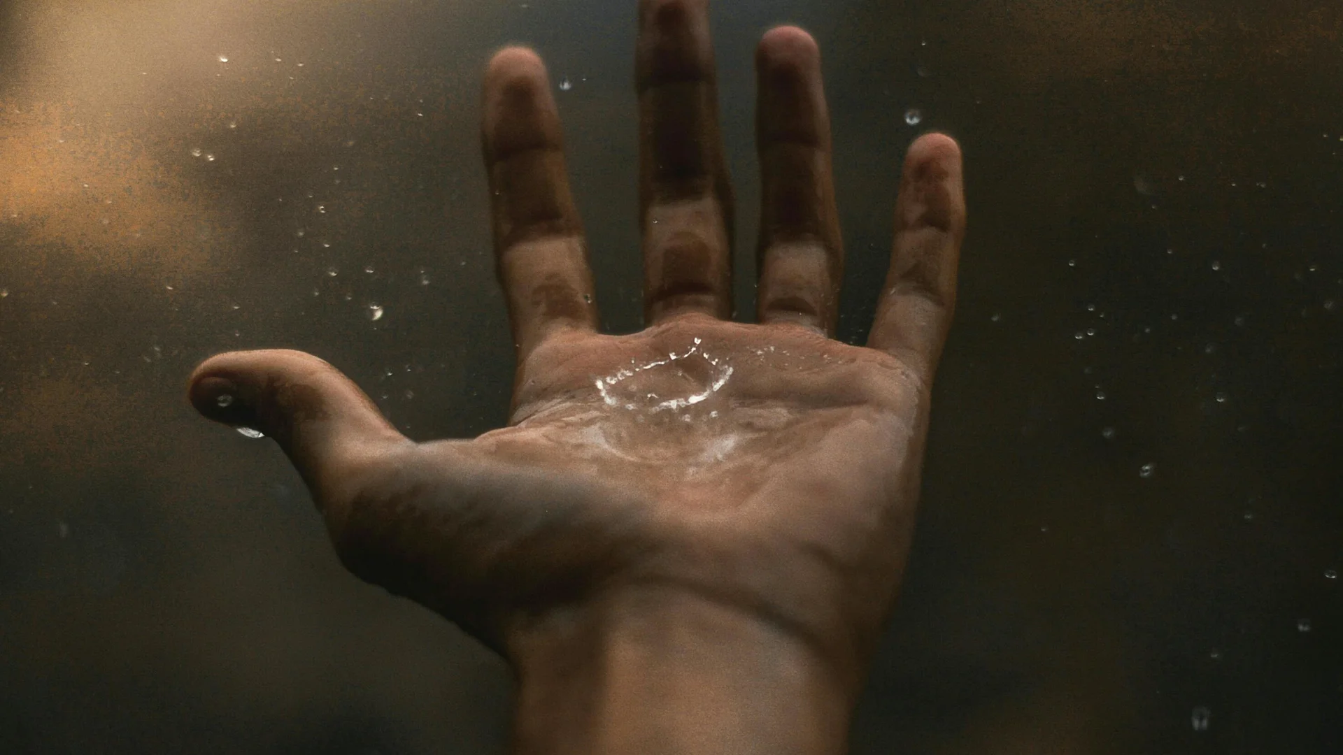 Pexels Fabiano Rodrigues 794857 2290328