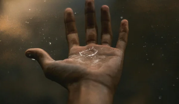 Markt- und Investment-Update