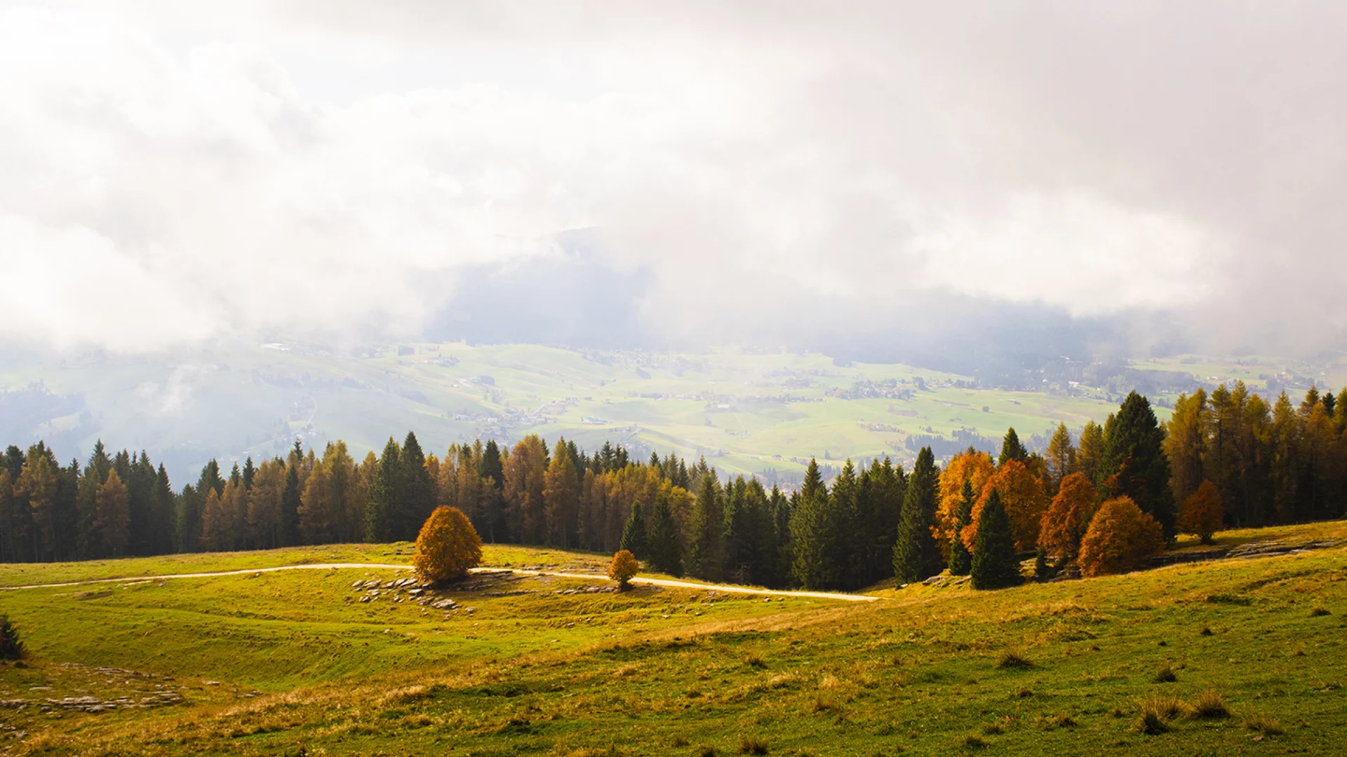 Counterpoint September 2021