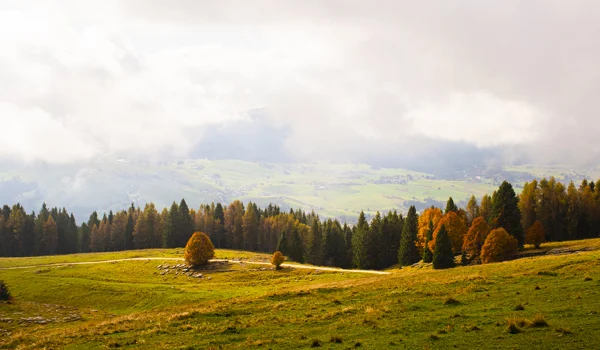 Counterpoint September 2021