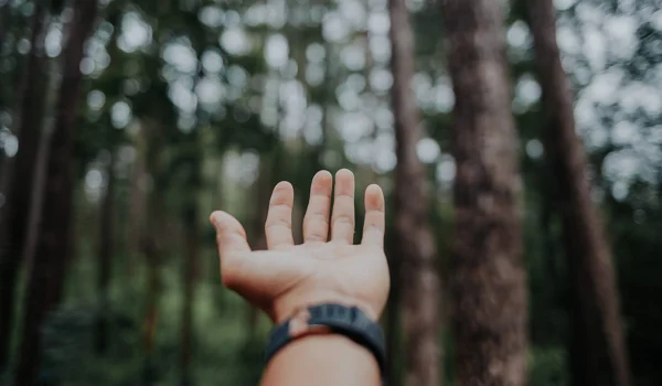 Markt- und Investment-Update