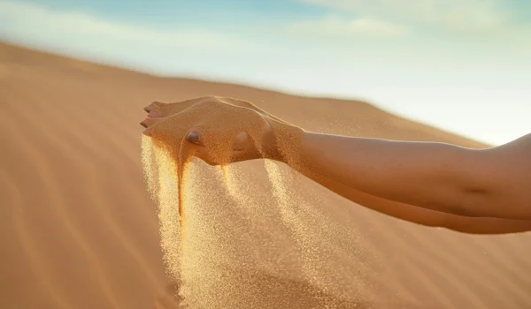 Markt- und Investment-Update