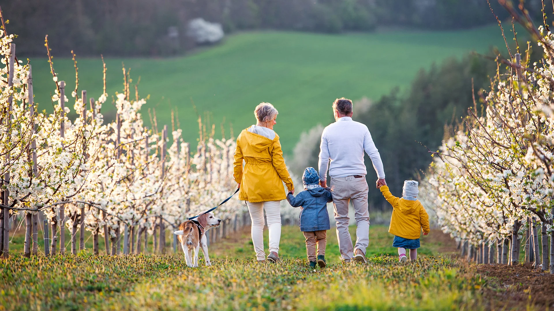 Unser Mutterunternehmen Quintet | BlackRock Bericht von Ipsos: Generationenvermögen im Aufwind: Neue Wege erschließen