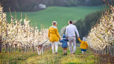 Generationenvermögen im Aufschwung: Neue Chancen nutzen